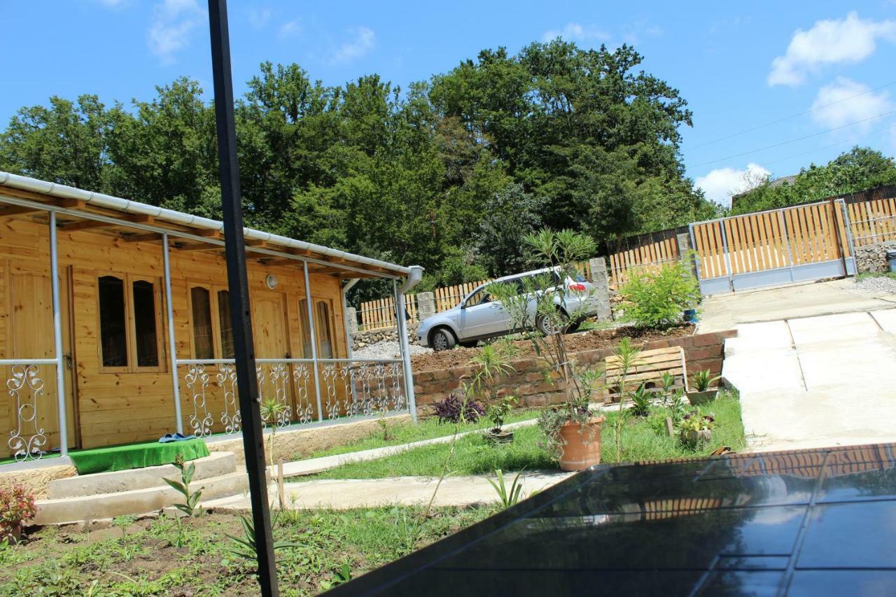 Green Villa Tskaltubo Bagian luar foto