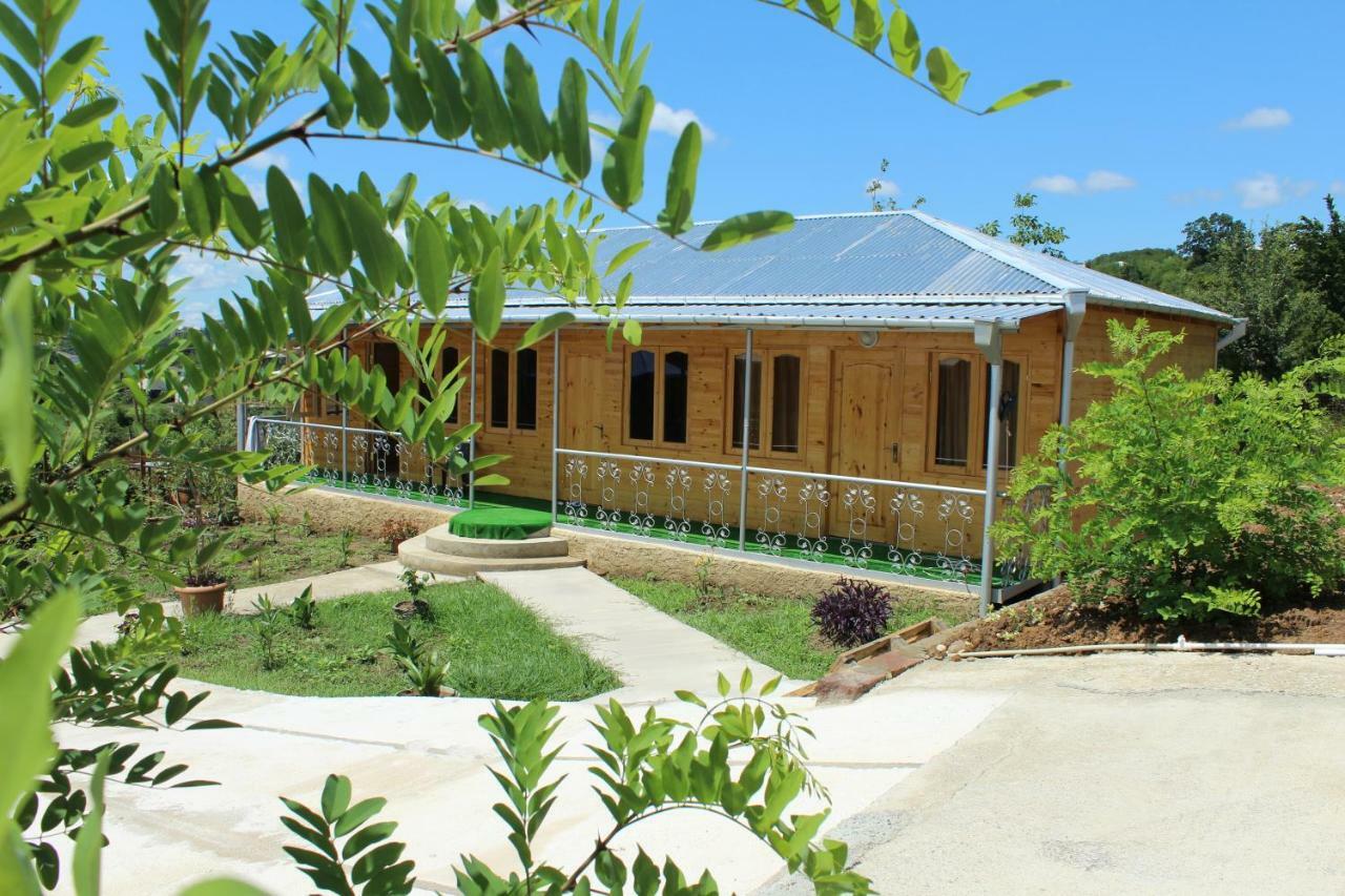 Green Villa Tskaltubo Bagian luar foto